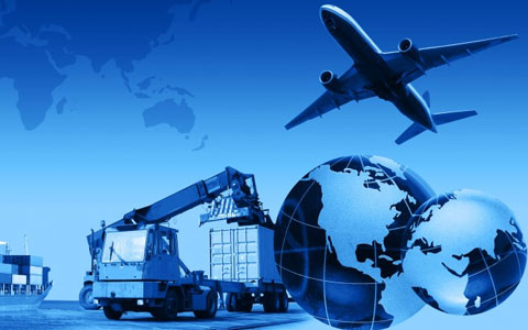 Packers and Movers Insurance Management